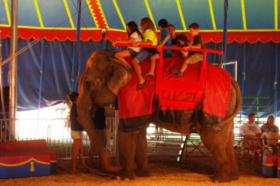 Elephant Ride for Kids Under the Big Top (2).jpg