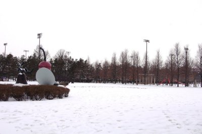 Snow in Minneapolis Sculpture Garden.jpg