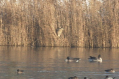 g2/24/1048224/3/147755040.tHINAxlX.jpg