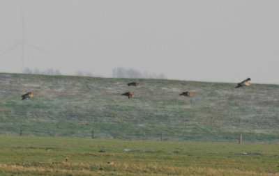 g2/24/1048224/3/148298165.9pOJzRG5.jpg