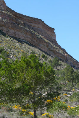 Los Monegros, Spain.JPG