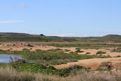Los Monegros, Spain.JPG