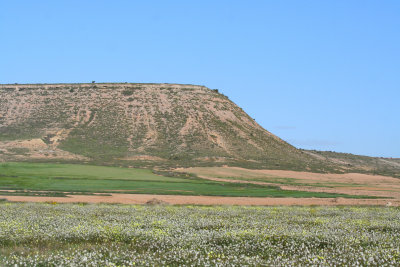 Los Monegros, Spain.JPG