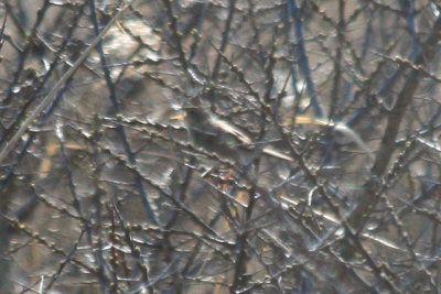 g2/24/1048224/3/149800407.Tj9kLfft.jpg