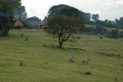 DSC_0013.JPG