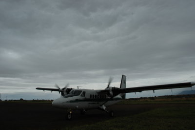 DSC_0090.JPG