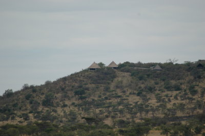 DSC_0136.JPG