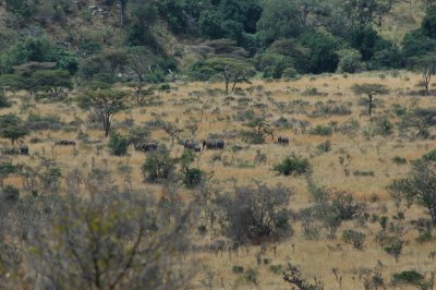 DSC_0148.JPG