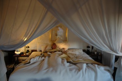 DSC_0626.JPG