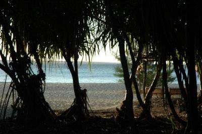 DSC_0655.JPG