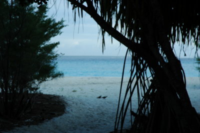 DSC_0660.JPG