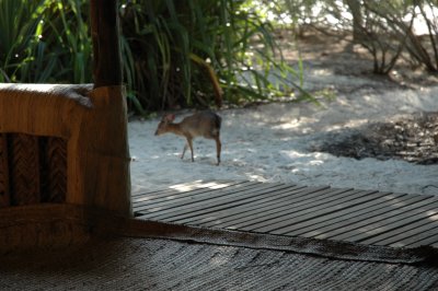DSC_0682.JPG