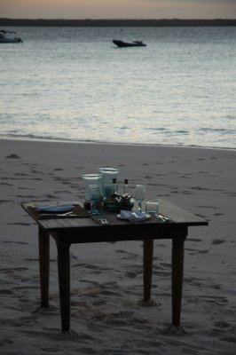 DSC_0708.JPG