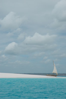 DSC_0751.JPG