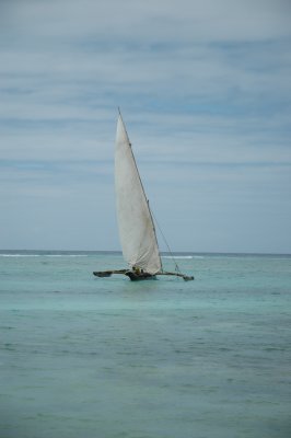 DSC_0766.JPG