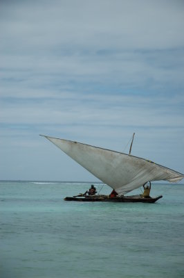 DSC_0769.JPG