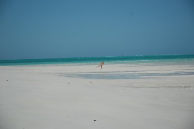 DSC_0864.JPG