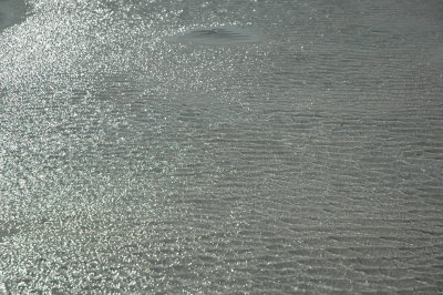 DSC_0877.JPG