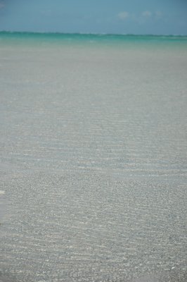 DSC_0879.JPG
