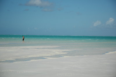 DSC_0885.JPG