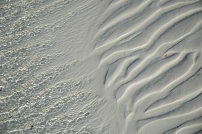 DSC_0886.JPG
