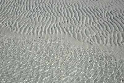DSC_0889.JPG