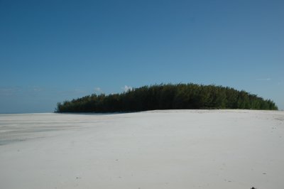 DSC_0893.JPG