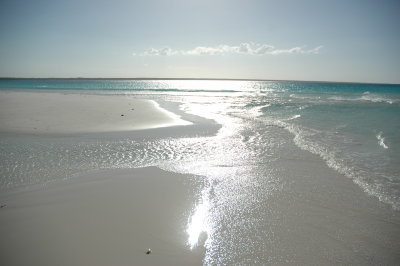 DSC_0897.JPG