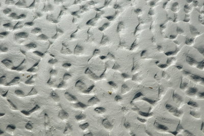 DSC_0903.JPG