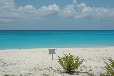 DSC_0913.JPG
