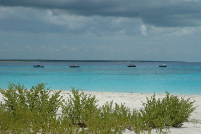 DSC_0914.JPG