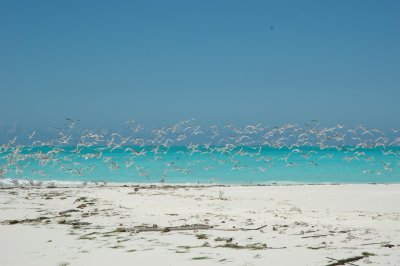 DSC_0923.JPG
