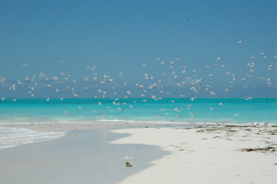 DSC_0928.JPG