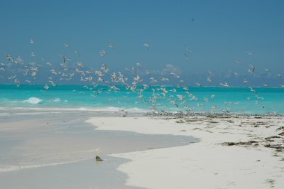DSC_0932.JPG
