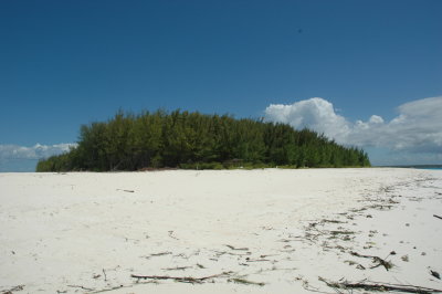 DSC_0934.JPG