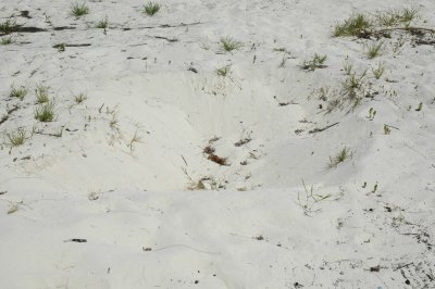 DSC_0936.JPG