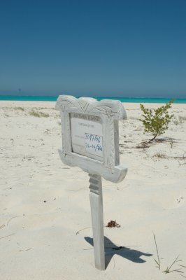 DSC_0937.JPG