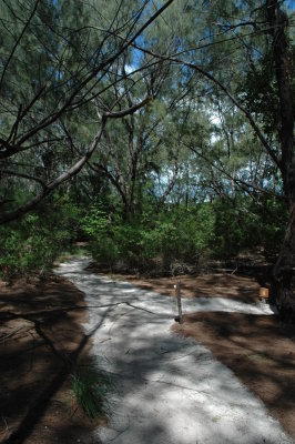 DSC_0939.JPG