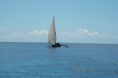DSC_0956.JPG