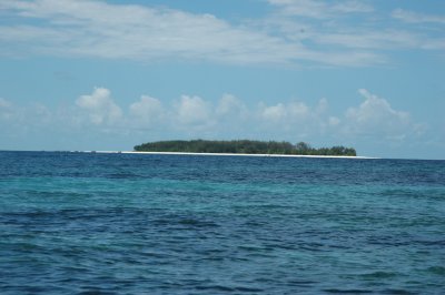 DSC_0959.JPG