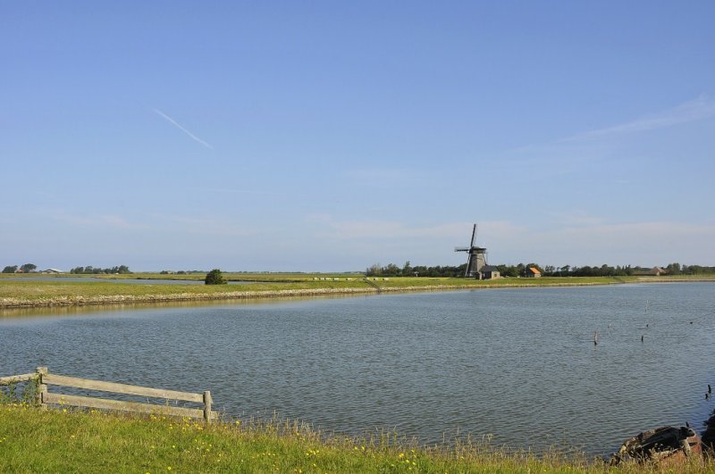 Texel 