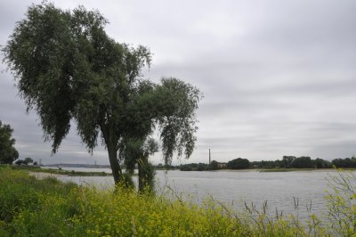 de Waal bij Nijmegen