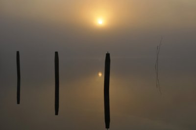 Lauwersmeer