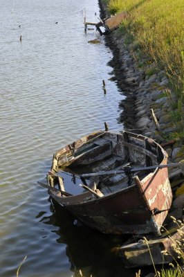 Texel 