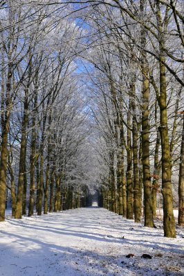 Vliegveldweg / Hengelo