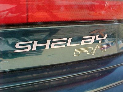 SHELBY RT Tail Decal