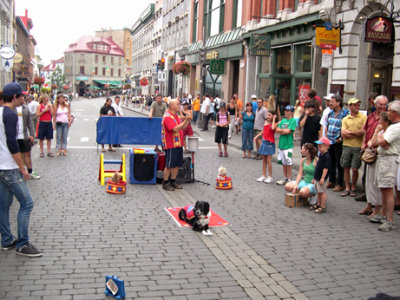A street performer entertains the crowd with his dogs on Rue St.-Jean in the Upper Town section of Old Qubec.