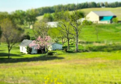 mini springtime sheds