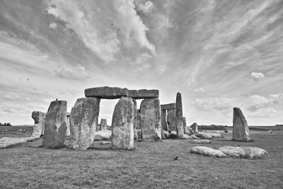 Stonehenge crow