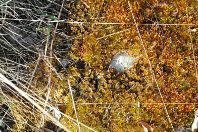 18 Delineated rock